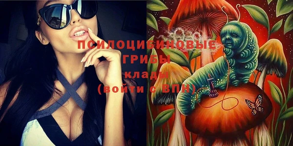 а пвп мука Кинешма