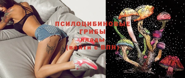 сатива Киренск