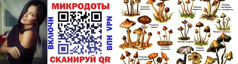 Псилоцибиновые грибы GOLDEN TEACHER  Купить где  Белореченск 
